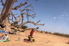 2025-VOYAGE-SENEGAL-54