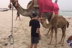 2026-08-TUNISIE-9