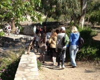 VOYAGE EN CRETE (4) - Copie