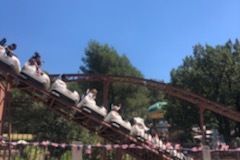 3-OK-CORRAL