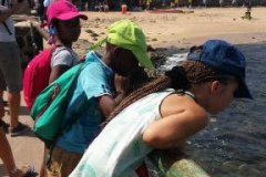 SENEGAL2017 (32)