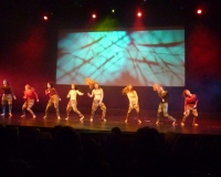 JOIE-2014-28-