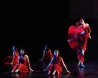 LIBRE2015JEREM (6)