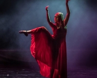 SPECTACLE LIVRE 2015 (10)