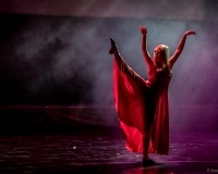 SPECTACLE LIVRE 2015 (11)