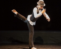 SPECTACLE LIVRE 2015 (14)