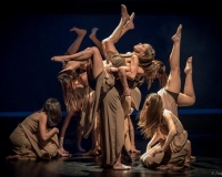 SPECTACLE LIVRE 2015 (16)