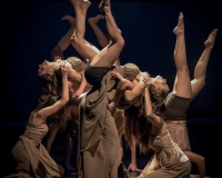 SPECTACLE LIVRE 2015 (17)