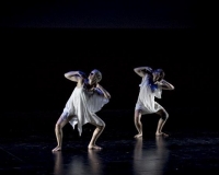 SPECTACLE LIVRE 2015 (26)