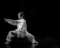 SPECTACLE LIVRE 2015 (28)