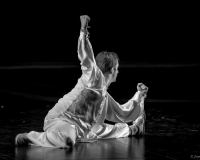 SPECTACLE LIVRE 2015 (29)