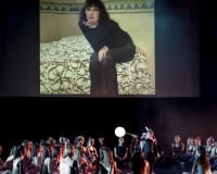 SPECTACLE LIVRE 2015 (33)