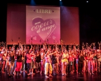 SPECTACLE LIVRE 2015 (38)