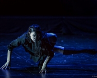 SPECTACLE LIVRE 2015 (4)