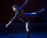 SPECTACLE LIVRE 2015 (5)
