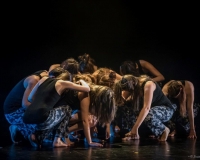 SPECTACLE LIVRE 2015 (6)