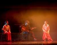 SPECTACLE LIVRE 2015 (7)