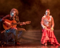 SPECTACLE LIVRE 2015 (8)