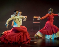 SPECTACLE LIVRE 2015 (9)