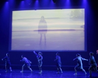 Comme dans un songe (1)