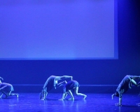 Comme dans un songe (33)