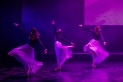 DISSIDANSE-PART2-FABI-3