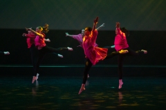 EVIDANSE-DIV-FABI-2