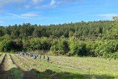IMG-20250511-WA0036