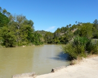 trail 2017 (9)